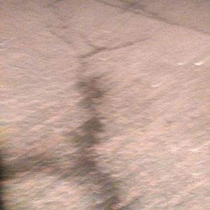 Bara (Bara Bara Bara)