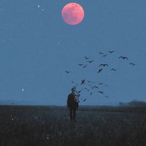 四季变换青春不止