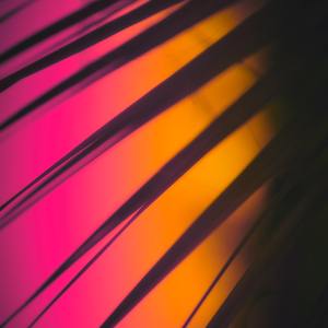 Love Story Remix (I Love You) [TikTok Dance]