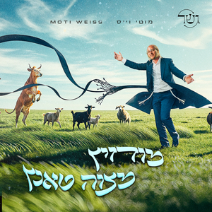 Mitzvah Tantz - Modzitz (ניגון מצוה טאנץ - מודזיץ)