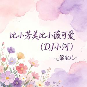 比小芳美比小薇可爱(DJ小河)