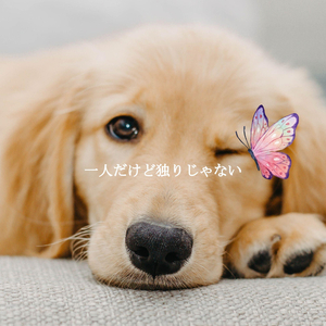 Classic Ambiance for Quiet Dinners