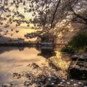 你别回头你别停留