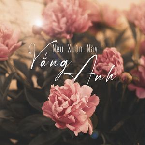Nếu Xuân Này Vắng Anh