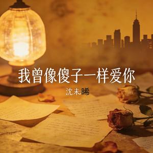 我曾像傻子一样爱你