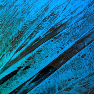 Do You See the Stars? They Hold Our Futures...Together We Can Reach Them...Do You See the Stars?