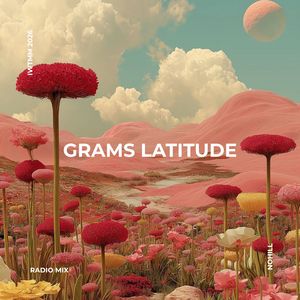 Briefly (Radio Mix)