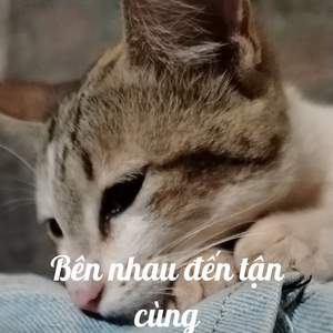 Bên Nhau Đến Tận Cùng