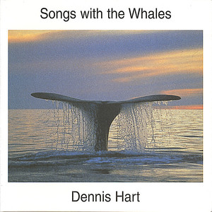 Sperm-Whale-Sonar