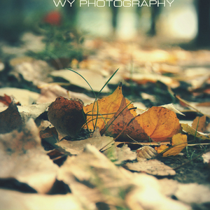 我会很诚实（Cover 星弟）