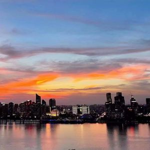 Simon(周菲戈版本)