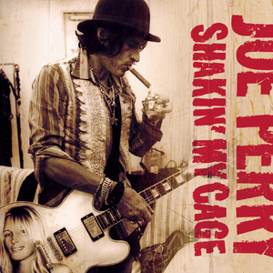 Shakin' My Cage (Album Version)