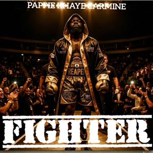 Fighter