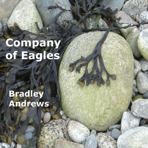 Company of Eagles