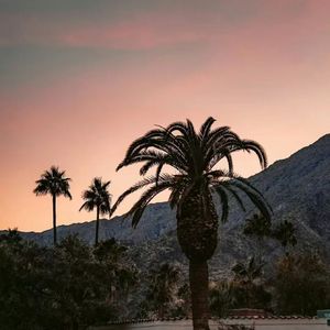 银河尽头种太阳