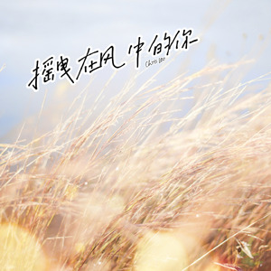 搖曳在風中的你