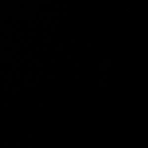 谢谢（PROD BY Cario）