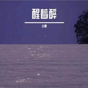 不二臣
