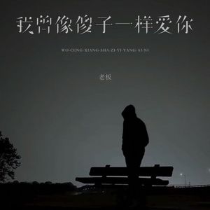 我曾像傻子一样爱你（降5深情版）