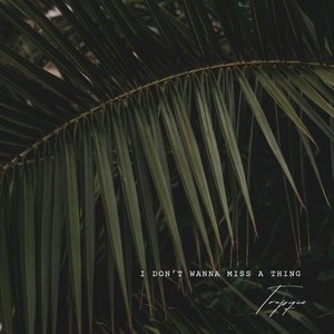 I Don\'t Want To Miss A Thing - (Piano Version)