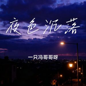 夜色沉落