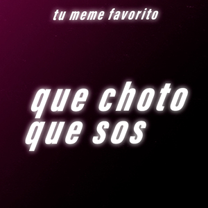 Que Choto Que Sos