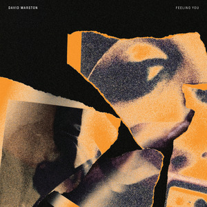 Feeling You (Lowheads Remix)