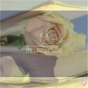 낭만에 관하여 About Romance