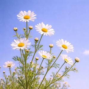 동화같은 이야기