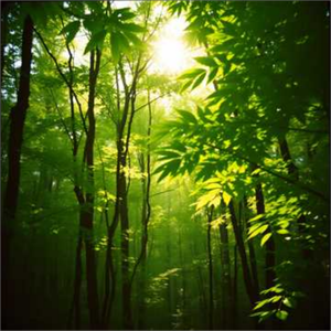 零点重置的心跳