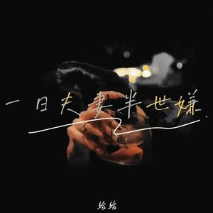 一世夫妻半世嫌