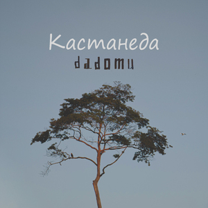 Кастанеда