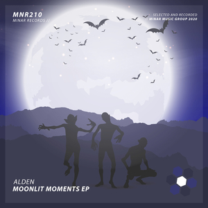 Moonlit Moments (Original Mix)