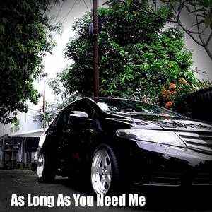 As Long As You Need Me