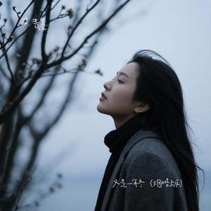 又是一年冬 (Cover 小奥奥)