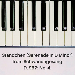 Ständchen (Serenade in D Minor), from Schwanengesang, D. 957: No. 4. (Live)