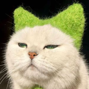 小狗和小猫