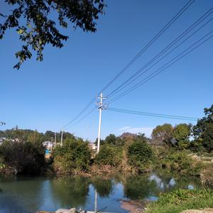 一个真实的故事