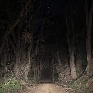 make room in hell (demo)