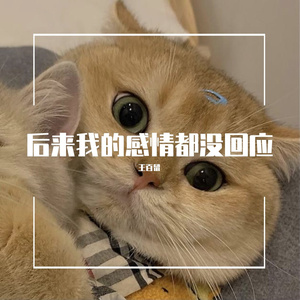 让我看到疯狂的你