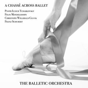 Pyotr Ilyich Tchaikovsky, Swan Lake Op.20 - Act II. Part 1b