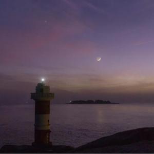 依赖（翻自 叶琼琳）