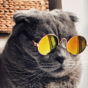 ミステリアスな彼女