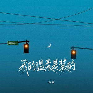 我的温柔是装的