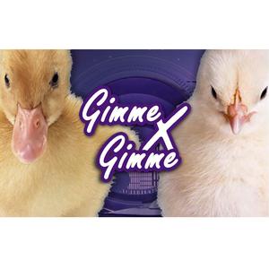 Gimme×Gimme