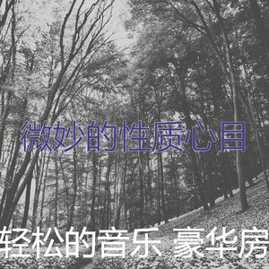 抚慰的浓度回忆