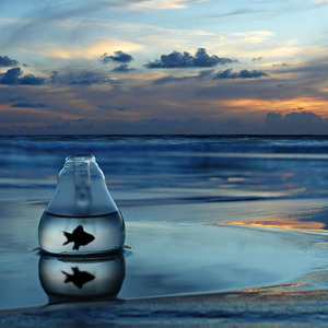 হাজার মানুষের মধ্যে তোমাকে বেছে নিয়েছি