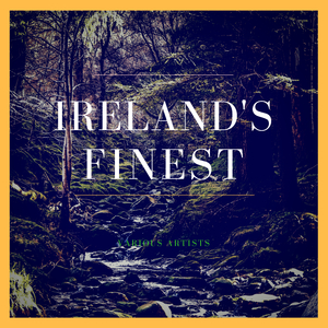 Reels: Rattigan's / Morning Star / Dublin Porter