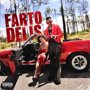 Farto Delis