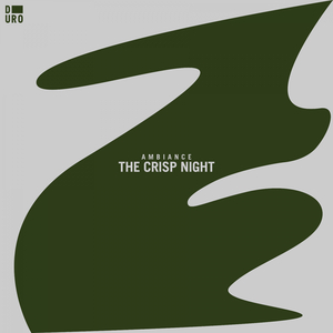 Electronic Emergency (Rigopolar Remix)